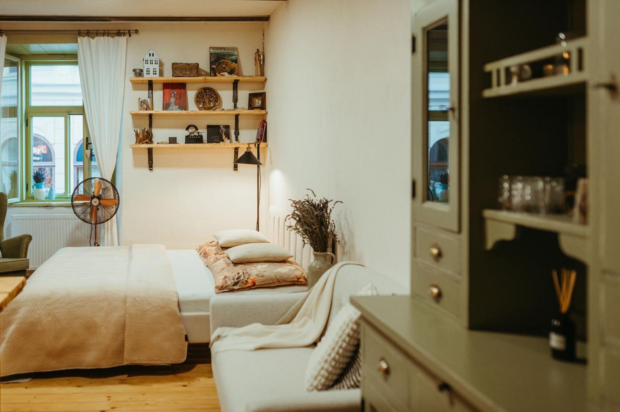 Apartman V Jungovom Dome - V Centre Stiavnice Банська Штявниця Екстер'єр фото